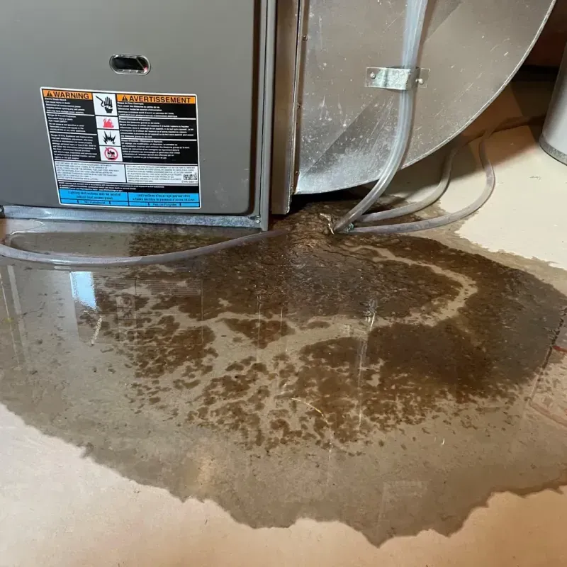 Appliance Leak Cleanup in Brook Highland, AL